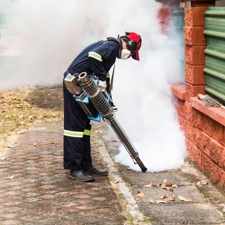 Why Every Business in the UAE Needs Professional Pest Control